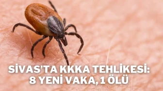 Sivas’ta KKKA Tehlikesi: 8 Yeni Vaka, 1 Ölü