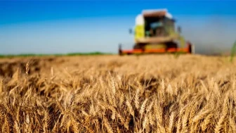 Sivas’ta Çiftçilere 165 Milyon Liralık Destek Ödemesi Başladı