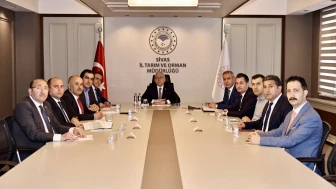 Sivas’ta Sokak Hayvanlarının Geleceği Masaya Yatırıldı