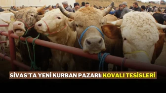 Sivas’ta Yeni Kurban Pazarı: Kovalı Tesisleri