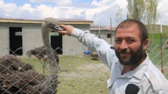 Sivas’ta Deve Kuşu Sürprizi