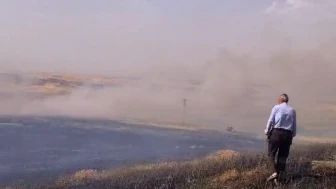 60 Dönüm Buğday Yangında Küle Döndü