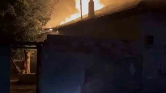 150 Kanatlı Telef Oldu