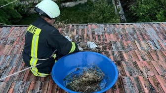 Fırtına Leylek Yuvasını Sürükledi