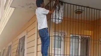 Korkusuz Arıcı: Yüzlerce Arının Arasına Çıplak Elle Girdi