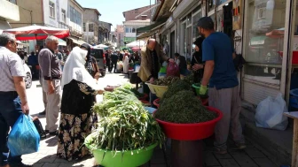 Doğal otlar, hem şifa hem geçim kapısı oluyor