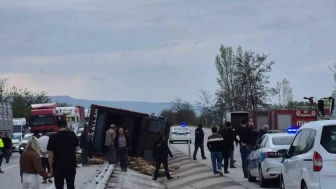Kamyon Kazasında 53 Koyun Hayvan Telef Oldu