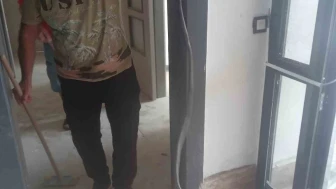 Eve Giren Yılan Doğaya Salındı