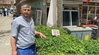 Bahar Gelince Fideler Tezgahları Süslüyor