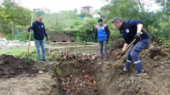 Balık Atığından Gübreye