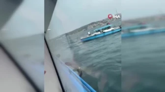 İstanbul Boğazı’nda Vapurdan Düşen 10 Yaşındaki Kız Çocuğu Kurtarıldı