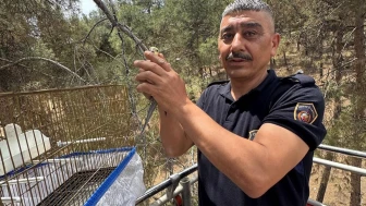 Minik Kaçış Büyük Operasyon