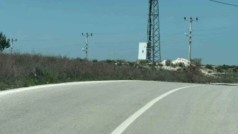 Yollarda Kaplumbağa Alarmı