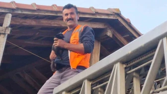 Mahsur Kalan Kediye İtfaiye Desteği