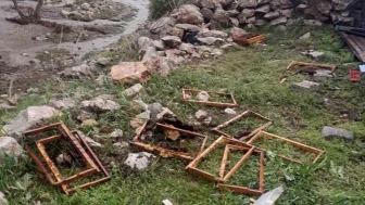 Ayıların Saldırısı Develi’de Arıcılığı Zarar Etti