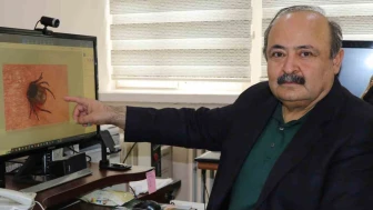 Kene Isırığına Karşı Doğru Müdahale Hayat Kurtarır