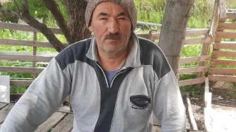 Kurt Kurbanlık Kuzuları Parçaladı