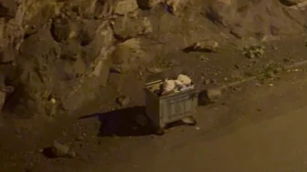 Geceyi kurtlar bastı