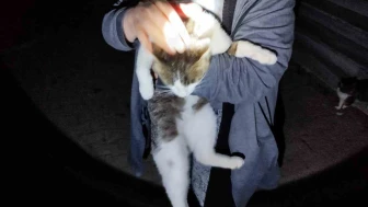 İtfaiyeden Kedi Mesaisi