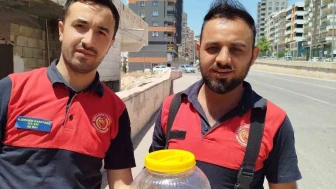 Şanlıurfa’da Evin Mutfak Bölümünde Görülen Yılan Doğaya Salındı