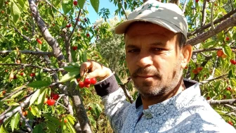 Düşük Verime Yüksek Fiyat Dengesi