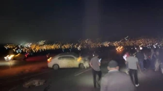 Sürüyü Ezdi: 15 Koyun Telef Oldu