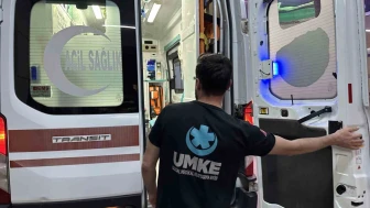 Sokak Köpeği Kadına Saldırdı