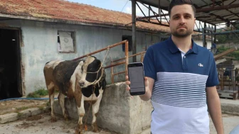 200 Bin TL’lik Kurbanlık Dolandırıcılığı Şoku