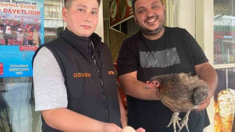 Tavuk Dönerciyi Yumurtlamak İçin Seçti
