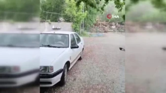 Dolu, Bahçeleri Beyaza Bürüdü