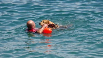 Zeyna: Türkiye’nin İlk Sualtı Arama Kurtarma Köpeği