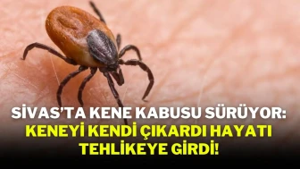 Sivas’ta Kene Kabusu Sürüyor: Keneyi Kendi Çıkardı Hayatı Tehlikeye Girdi!
