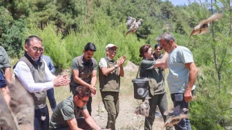 300 Keklik Doğayla Buluştu