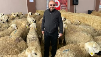Kangal’da Şap Hastalığı İddialarına Yalanlama: “Hayvancılığımız Güvende, Panik Yersiz”