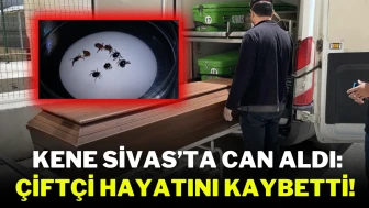 Kene Sivas’ta Can Aldı: Çiftçi Hayatını Kaybetti!