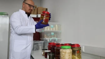 Sivas'ta Turşudan Yararlı Bakteri Üretildi!