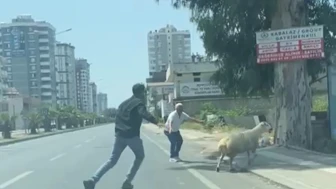 Kurbanlıklar Sokaklarını Birbirine Kattı