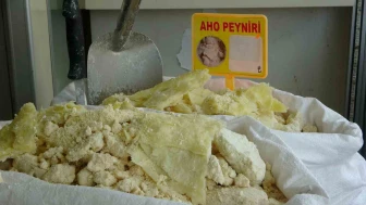Aho Peyniri Coğrafi İşaret Tesciline Hazırlanıyor
