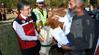 Bakan Yumaklı Kurban Bayramı’nda 3,3 Milyon Hayvan Kesildi