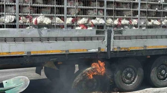 Tavukları Taşıyan Tırda Yangın Çıktı