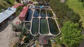 Sivas’tan Avrupa’ya Milyonlarca Alabalık Yumurtası