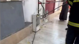 Doğal Gaz Kutusunda Yılan Paniği