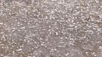 Edirne'de Ani Dolu Yağışı Tarım Arazilerine Zarar Verdi