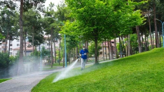 Yaz Aylarında Haşere Ve Kene Seferberliği