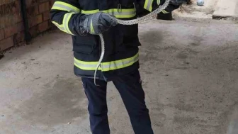 Eve Giren Yılan İtfaiyeyi Alarm Verdi