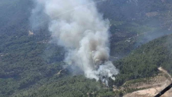 Antalya'da Orman Yangını: Havadan ve Karadan Müdahale Sürüyor