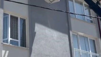 İtfaiye Ekipleri Sivas’ta Mahsur Kalan Kuşu Kurtardı