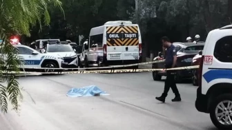 Yol Ortasında Yatan Kadına Araçlar Çarptı: Ölümle Sonuçlandı