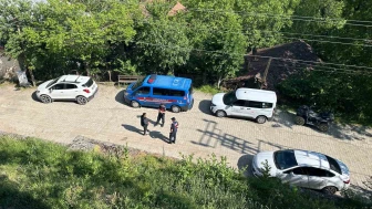 Karabük’te Köpek Ölümleri Şüphe Uyandırdı