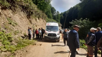 Kontrolden Çıkan Pat Pat Dereye Düştü